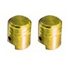 Tyre Valve Caps - Anodised Small Piston