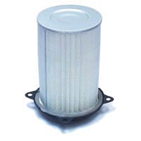 Air Filter - Suzuki GV1200