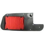 Honda FES125 Pantheon (2003 to 2006) Air Filter