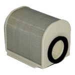 Yamaha XJR1200 Hiflofiltro replacement Air Filter