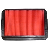 Yamaha YZF-R125 (2008 to 2014) Hiflo Air Filter