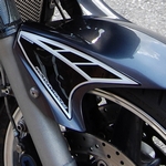 Yamaha FZS1000 Fazer (2001 to 2005) Black Motografix Front Mudguard Number Boards 3D Gel Protection System (KY012U)