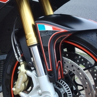 Example of Aprilia Tuono V4R Motografix Front Mudguard Protectors fitted