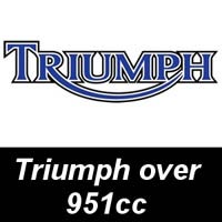Triumph Oil Filters - over 951cc Triumph Oil Filters - over 951cc